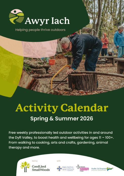 Coed Lleol Spring and Summer Activities