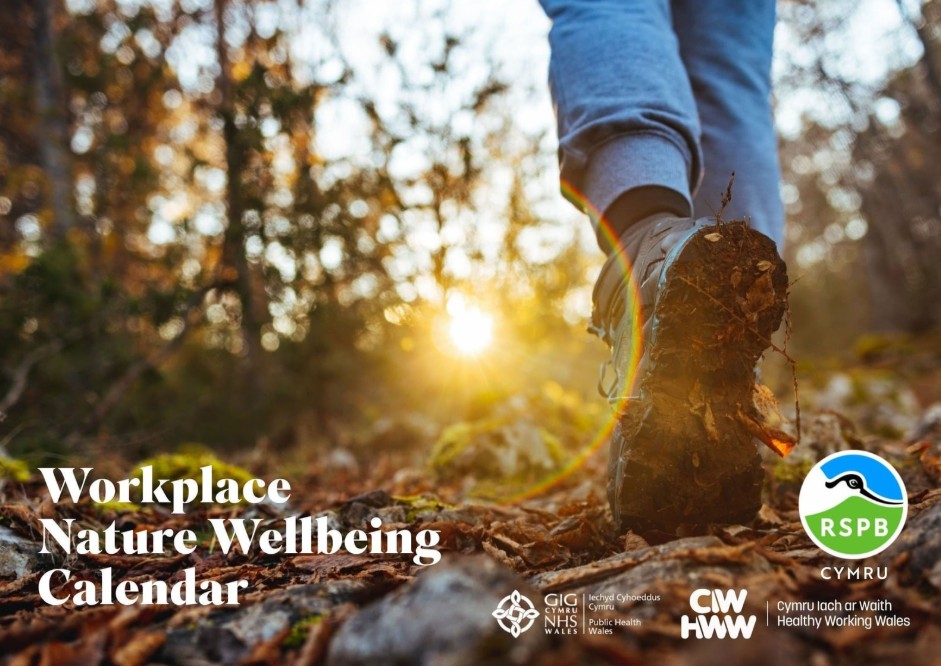 Healthy Working Wales Wellbeing Calendar image